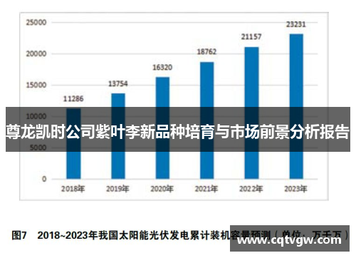 尊龙凯时公司紫叶李新品种培育与市场前景分析报告