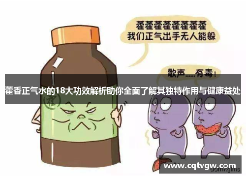 藿香正气水的18大功效解析助你全面了解其独特作用与健康益处